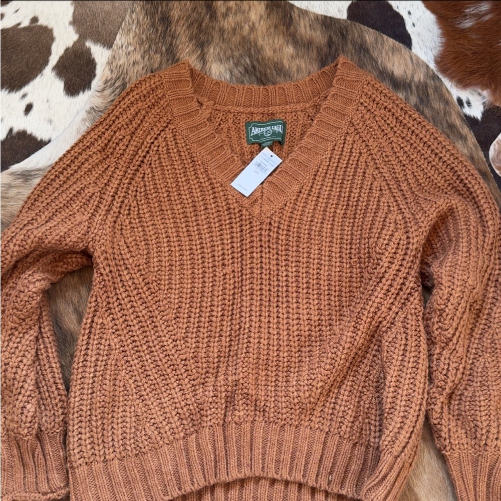 American Eagle Women's Brown Sweater